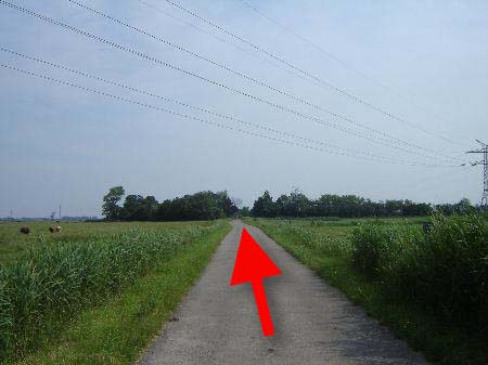 25-5km-Sarver Strasse